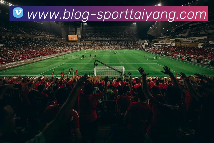 太阳城服务体系